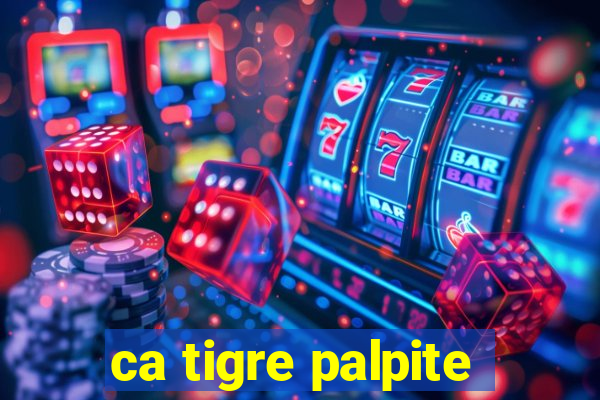 ca tigre palpite